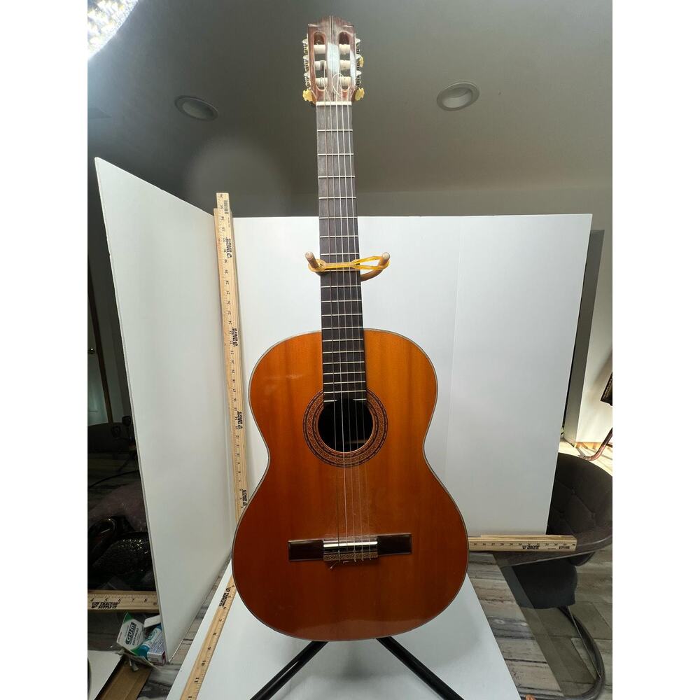 Concert Classical Bass Guitar Black Orange Burst Nylon 6-String 20-Frets